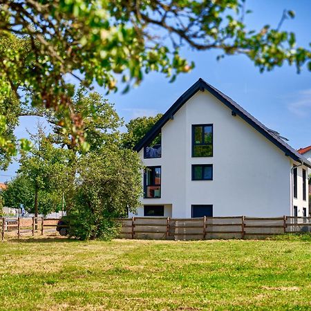 Neues Souterrain-Apartment In Kurstadt Bad Kreuznach Kültér fotó
